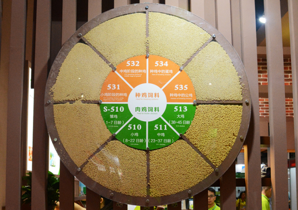 J9旗舰厅(集团)·官方网站 -APPSTORE