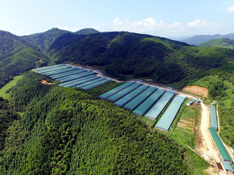 J9旗舰厅(集团)·官方网站 -APPSTORE