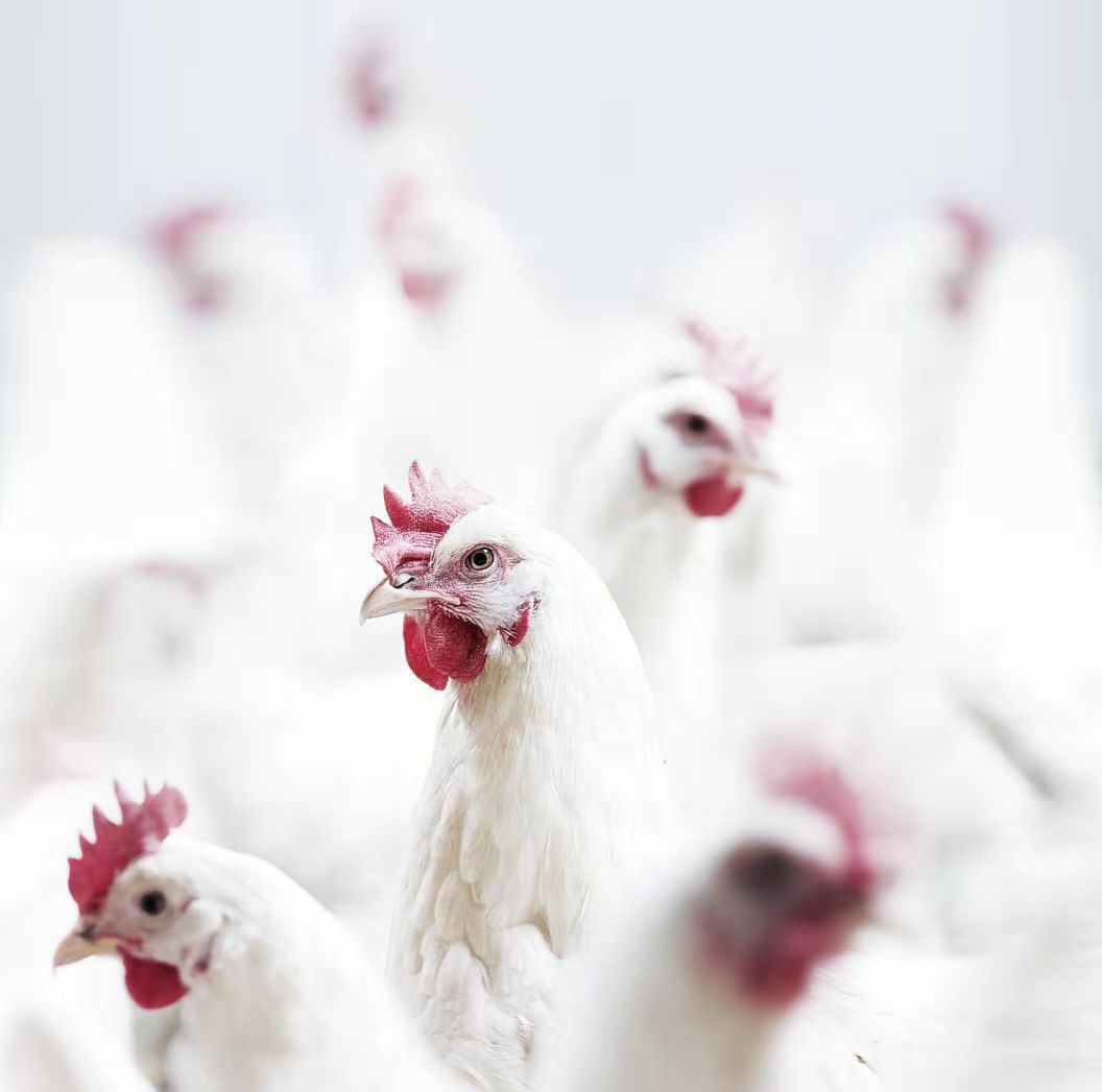 J9旗舰厅(集团)·官方网站 -APPSTORE