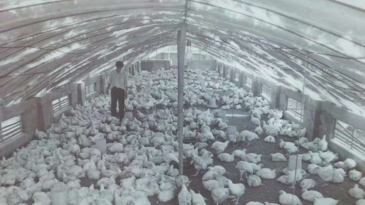 J9旗舰厅(集团)·官方网站 -APPSTORE