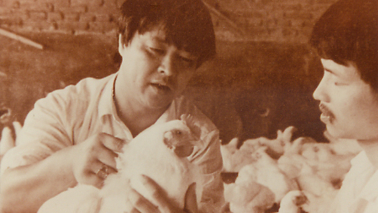 J9旗舰厅(集团)·官方网站 -APPSTORE