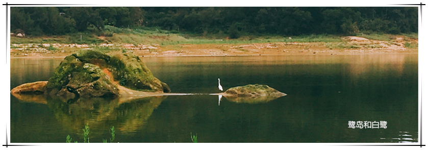 J9旗舰厅(集团)·官方网站 -APPSTORE