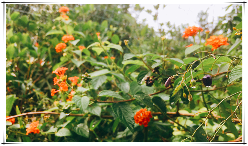 J9旗舰厅(集团)·官方网站 -APPSTORE