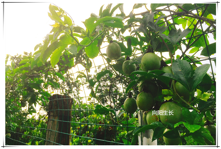 J9旗舰厅(集团)·官方网站 -APPSTORE