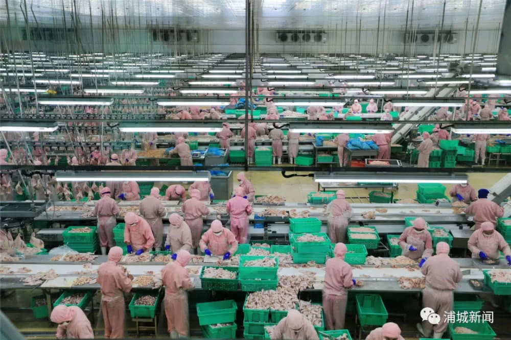 J9旗舰厅(集团)·官方网站 -APPSTORE