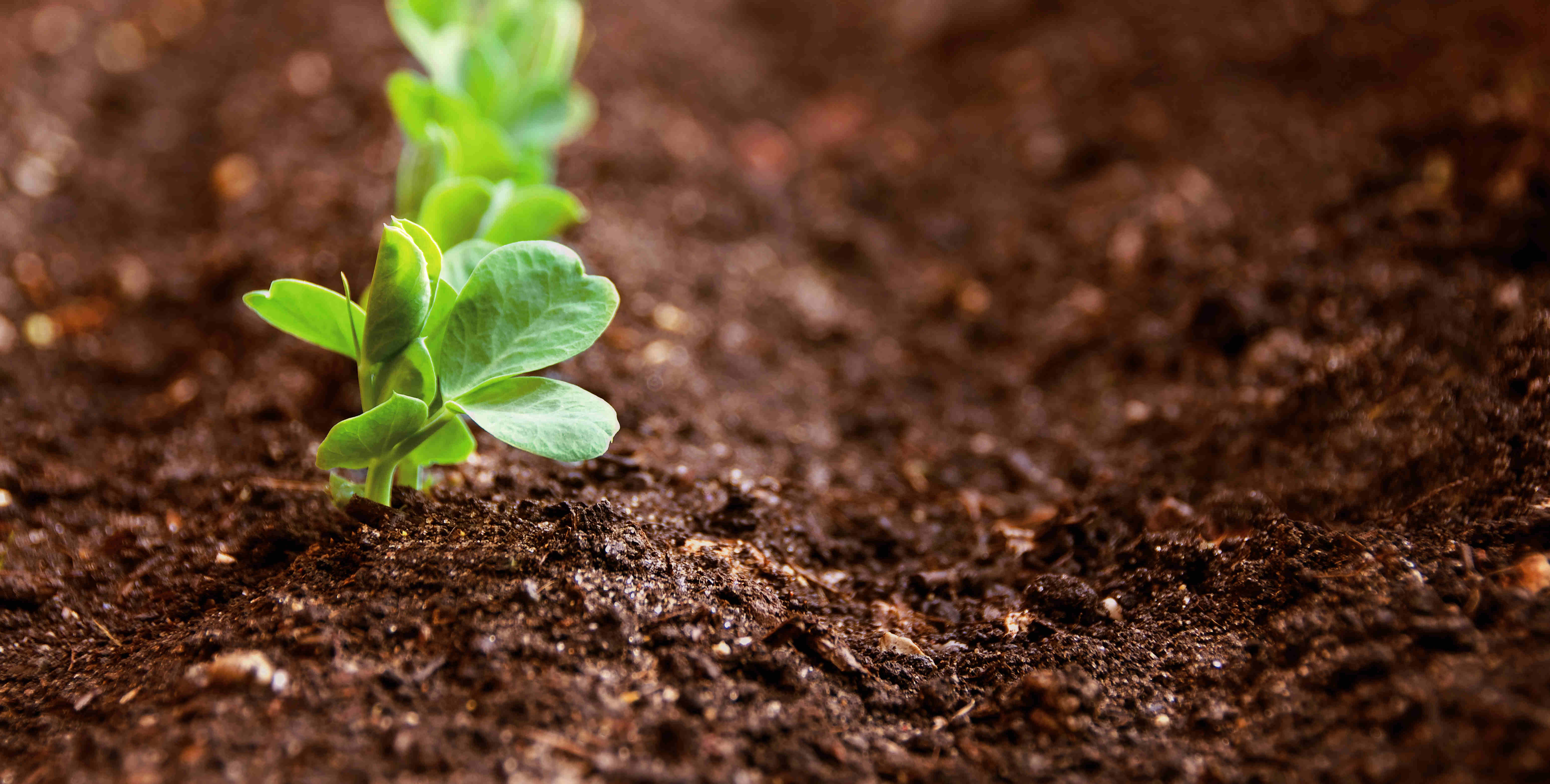 J9旗舰厅(集团)·官方网站 -APPSTORE