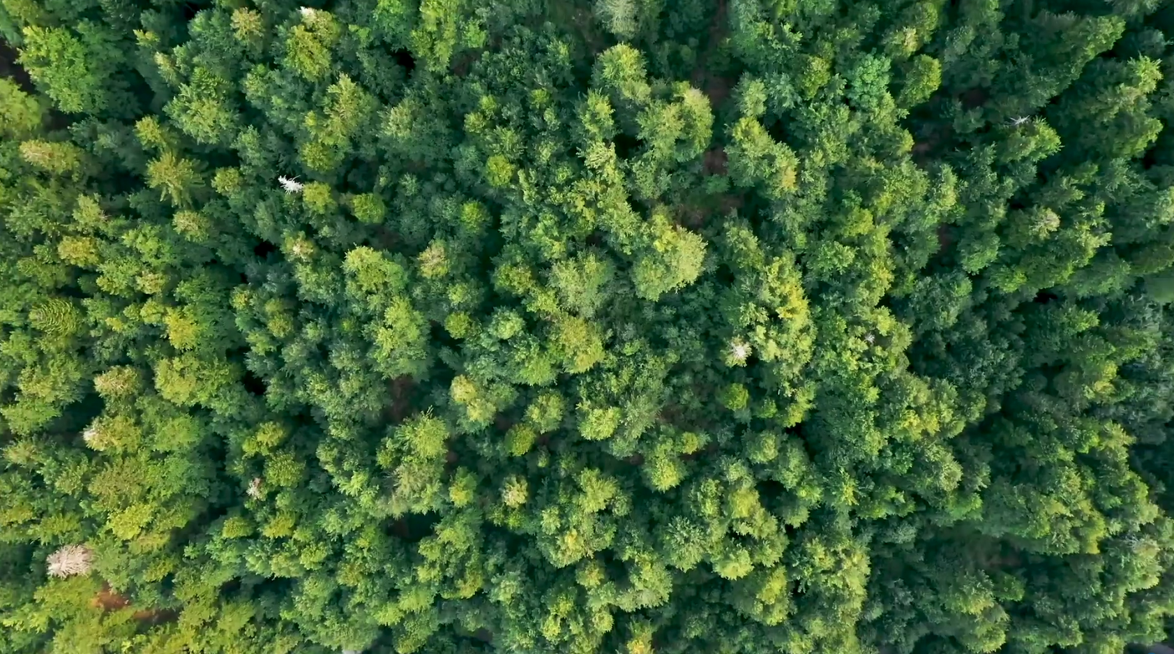 J9旗舰厅(集团)·官方网站 -APPSTORE